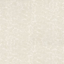 Gạch Ý Mỹ 60x60cm P67004