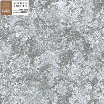 Gạch bóng kiếng PRIME 60x60cm 9116