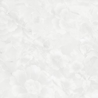 Gạch bóng kiếng Prime 60x60cm 15633
