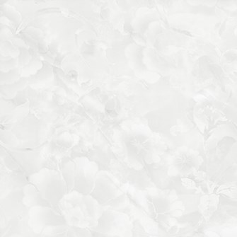 Gạch bóng kiếng Prime 60x60cm 15633