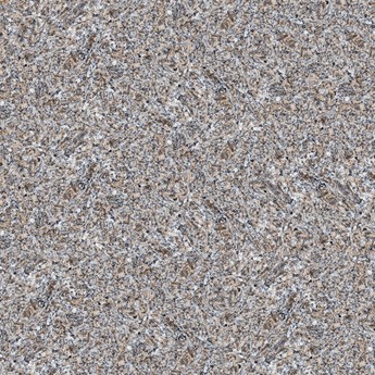 Gạch bóng kiếng Prime 60x60cm 15643