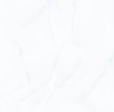 Gạch bóng kiếng toàn phần 60x60 cm TTC PN6602