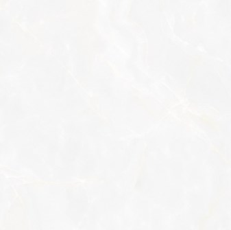 Gạch bóng kiếng toàn phần 60x60 cm TTC PN6609