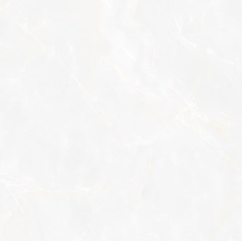 Gạch bóng kiếng toàn phần 60x60 cm TTC PN6609