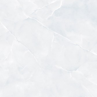 Gạch bóng kiếng toàn phần Prime 60x60cm 9848