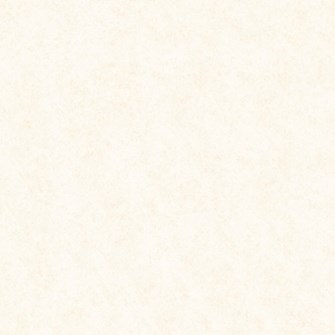 Gạch bóng kiếng toàn phần Prime 80x80 cm 8902