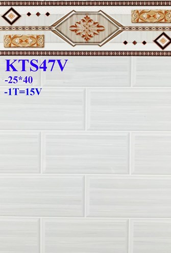 Gạch giá rẻ 25x40 KTS47V2