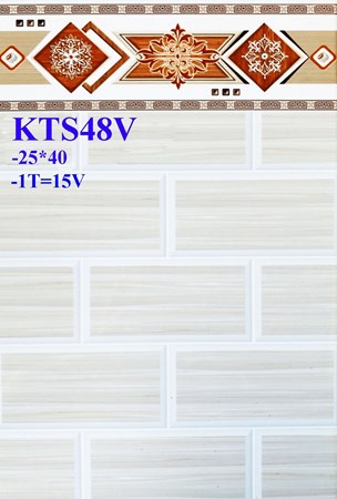 Gạch giá rẻ 25x40 KTS48V2