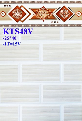 Gạch giá rẻ 25x40 KTS48V2
