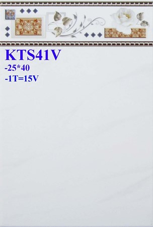 Gạch giá rẻ 25x40cm KTS41V