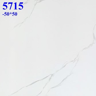Gạch lát nền giá rẻ 50x50 cm 5715
