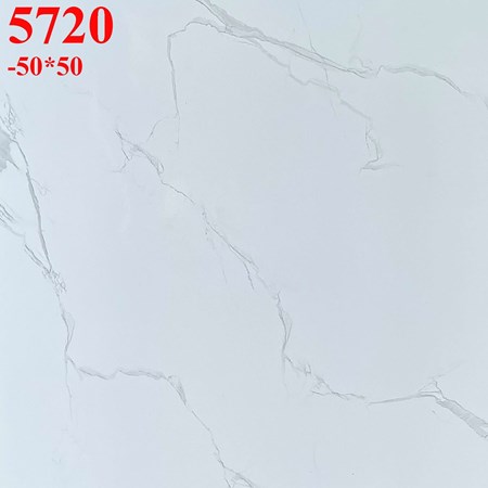 Gạch lát nền giá rẻ 50x50 cm 5720