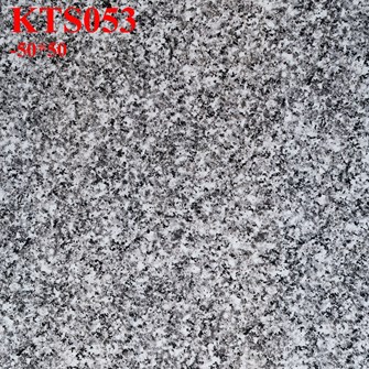 Gạch lát nền giá rẻ 50x50 cm KTS053