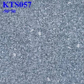 Gạch lát nền giá rẻ 50x50 cm KTS057