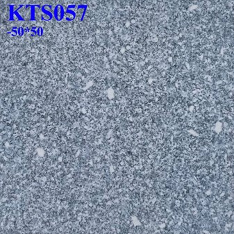 Gạch lát nền giá rẻ 50x50 cm KTS057