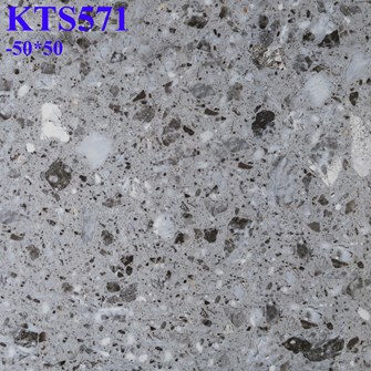 Gạch lát nền giá rẻ 50x50 cm KTS571