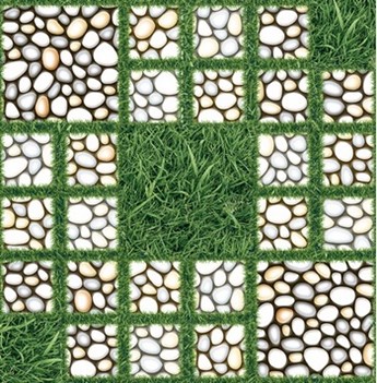 Gạch lát sân Tasa 50 x 50cm 5811