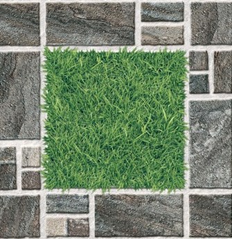 Gạch lát sân Tasa 50 x 50cm 5866