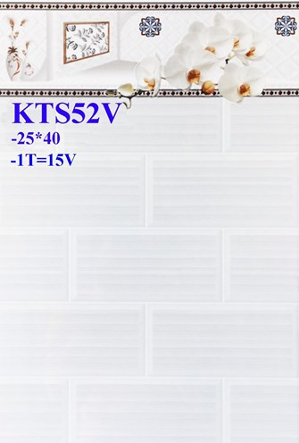 Gạch men giá rẻ 25x40 KTS52V