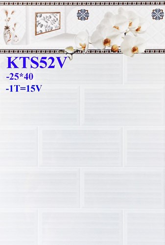 Gạch men giá rẻ 25x40 KTS52V