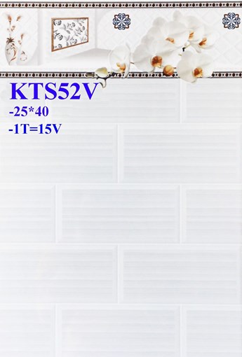 Gạch men giá rẻ 25x40 KTS52V