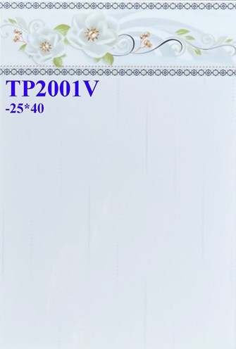 Gạch men giá rẻ 25x40 TP2001V