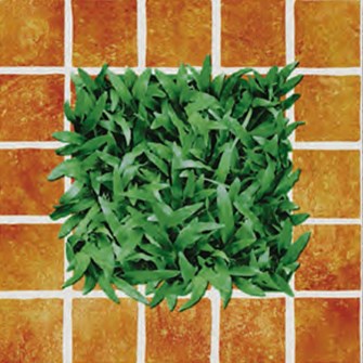 Gạch sân vườn 40x40 cm Đồng Tâm 4040CLG-002