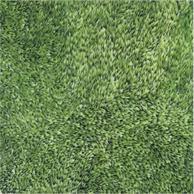 Gạch sân vườn 40x40 cm Đồng Tâm 4040GRASS-001