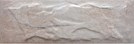 Gạch trang trí 10x 30 cm 10306