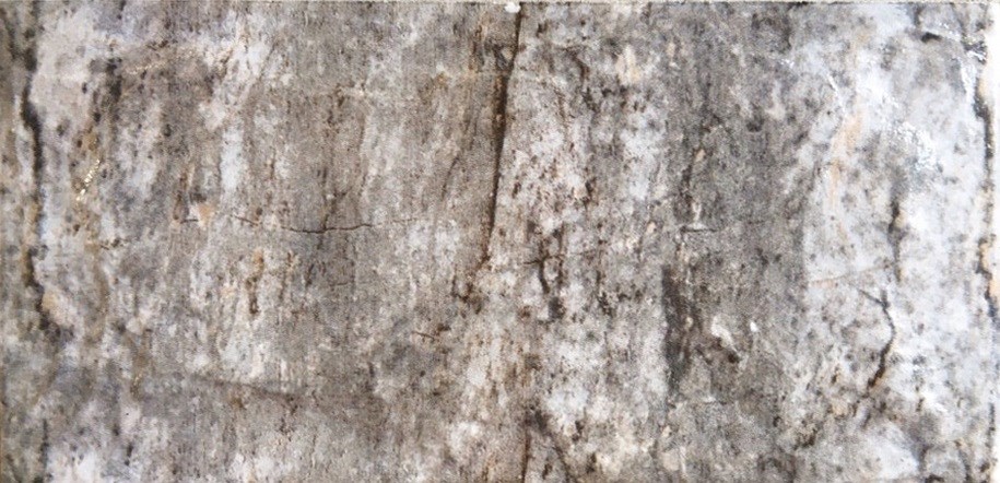 Gạch trang trí 3D 10x20cm 10205