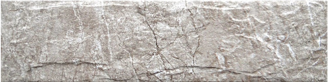 Gạch trang trí 6 x 24 cm 6223