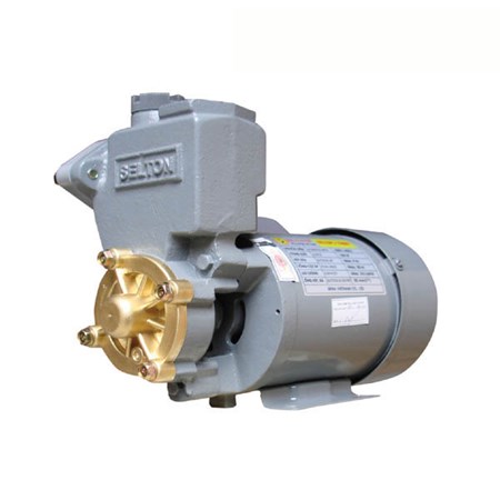 Máy bơm nước SELTON 150BE