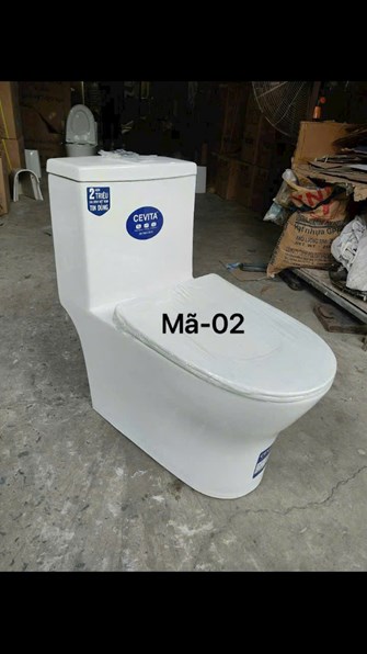 Bồn cầu khối CEVITA 02