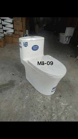 Bồn cầu khối CEVITA 09