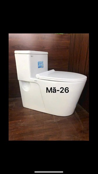 Bồn cầu khối VINALOHA 26