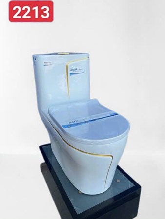 Bồn cầu liền khối AQUA Trắng viền vàng