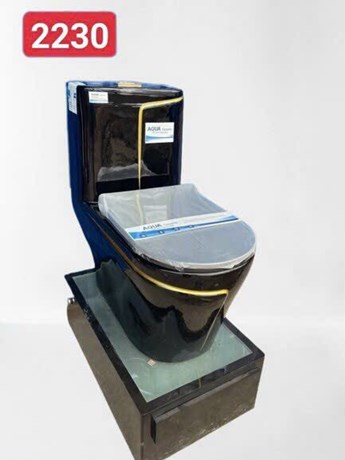 Bồn cầu liền khối AQUA đen viền vàng