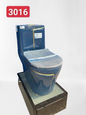Bồn cầu liền khối AQUA Xanh viền vàng