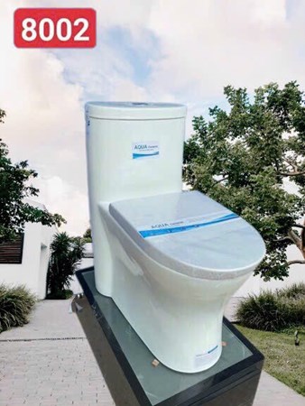 Bồn cầu liền khối AQUA 02