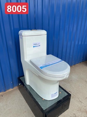 Bồn cầu liền khối AQUA 05