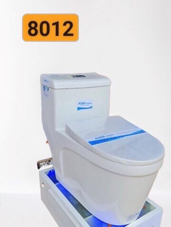 Bồn cầu liền khối AQUA lùn