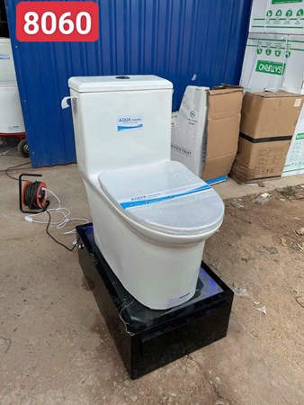 Bồn cầu liền khối AQUA 60