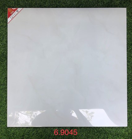 Đá bóng kiếng toàn phần 60x60 cm Prime 9045