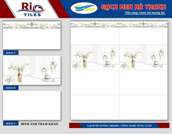 Gạch 30x60cm Hà Thanh R3623