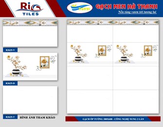 Gạch 30x60cm Hà Thanh R3625