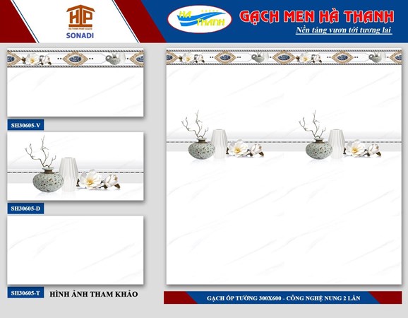 Gạch 30x60cm Hà Thanh SH30605