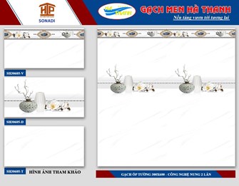 Gạch 30x60cm Hà Thanh SH30605