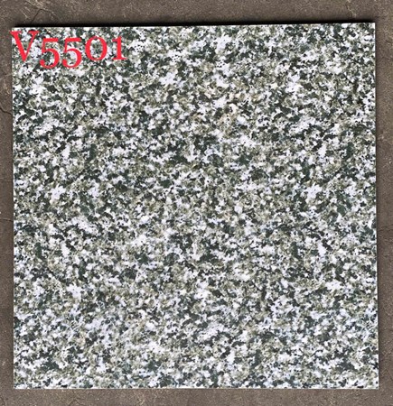 Gạch 50x50 cm vân đá hoa cương V5501