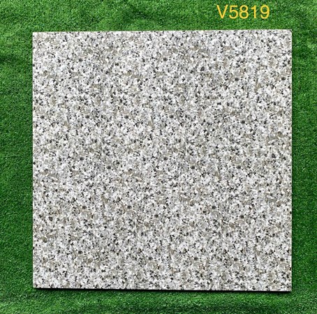Gạch 50x50 cm vân đá hoa cương V5819