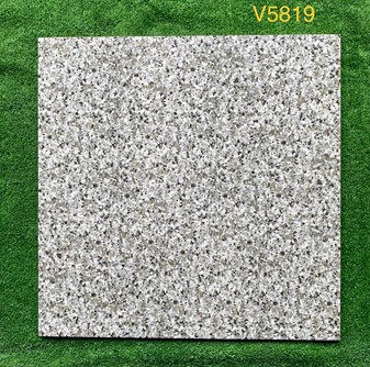 Gạch 50x50 cm vân đá hoa cương V5819